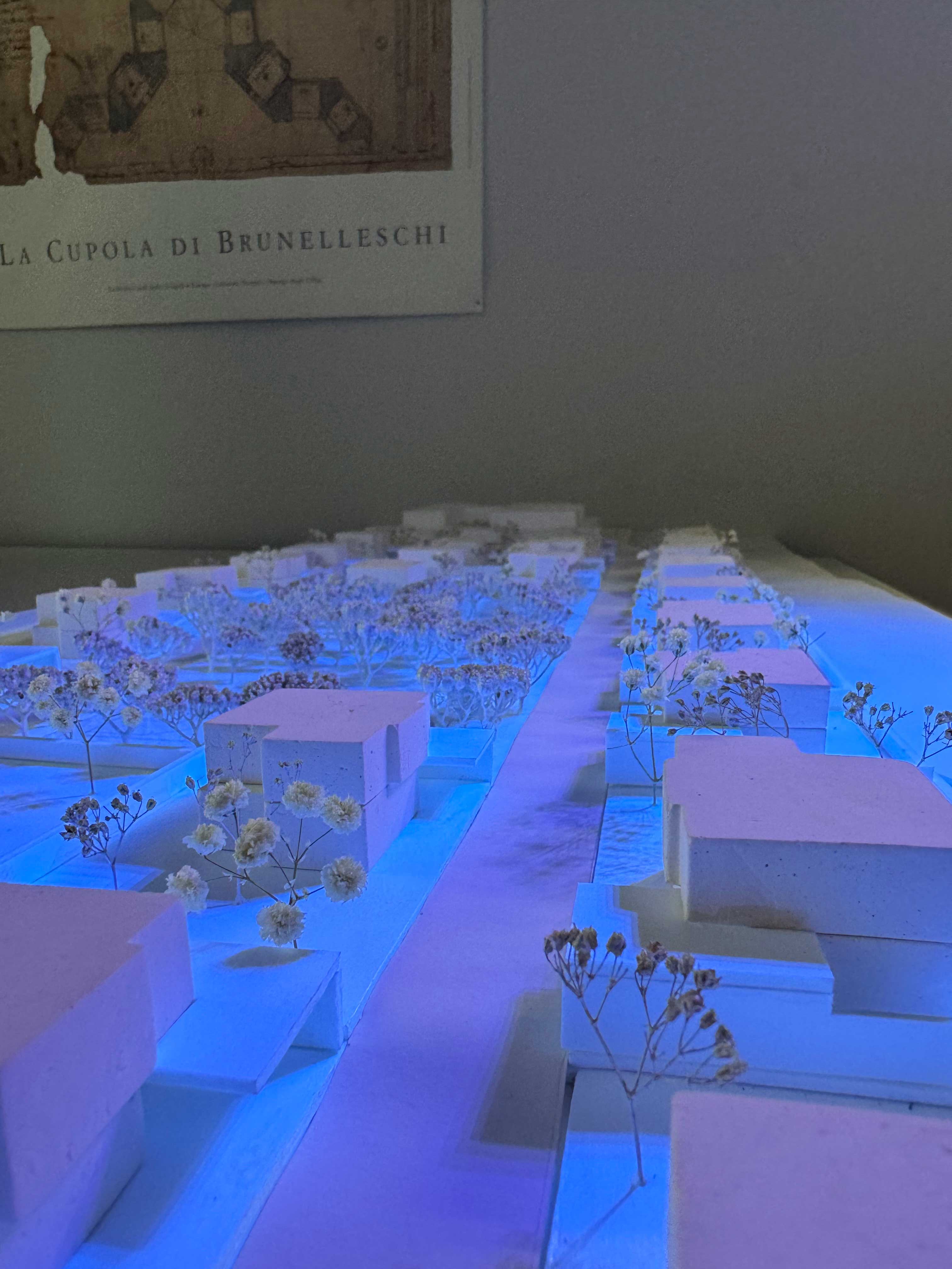 Neighbourhood for 40 houses in Kanakeravan alternate view